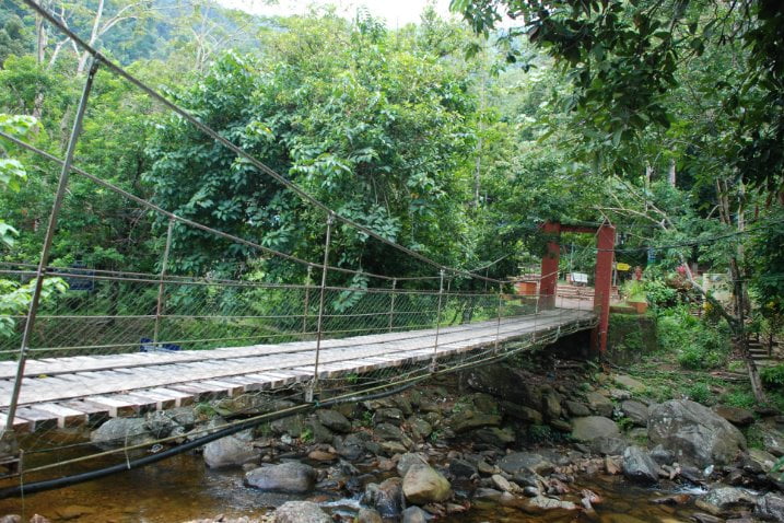 [BEST] 10 Tempat Menarik di Kedah untuk Family Day 2023 Hutan Rekreasi Lipur Titi Hayun
