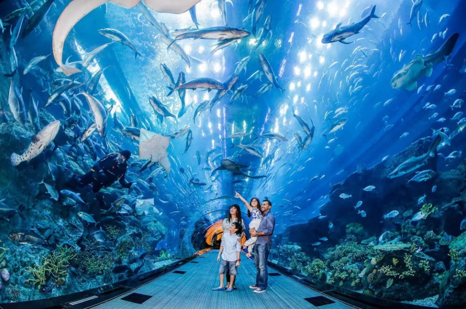 11 Tempat Menarik di Dubai 2023, The Best! Dubai Aquarium Underwater Zoo