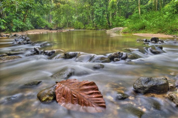 11 Tempat Mandi di Kedah Paling Best 2023 Hutan Lipur Ulu Paip