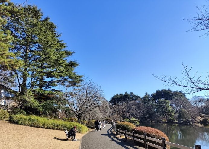[TOP] 11 Tempat Menarik di Tokyo Terbaik 2023 Shinjuku Gyoen National Garden 1