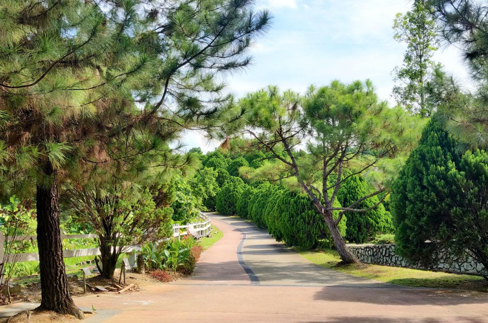[BEST] 11 Tempat Menarik untuk Berkelah di Putrajaya 2023 Taman Saujana Hijau Putrajaya