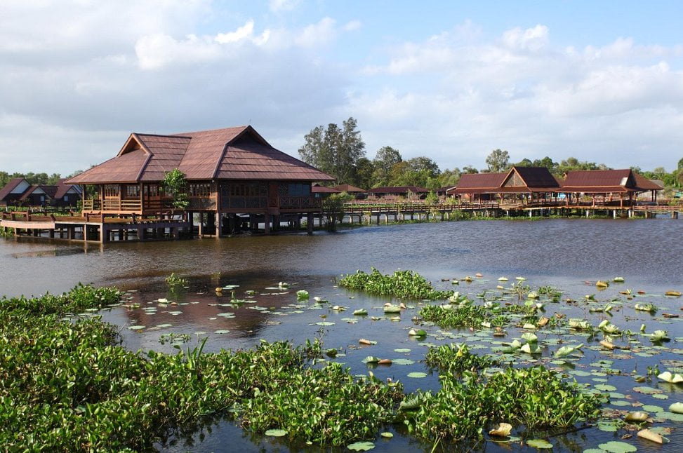 10 Tempat Menarik di Songkhla Thailand 2023 Thale Noi Waterbird Park