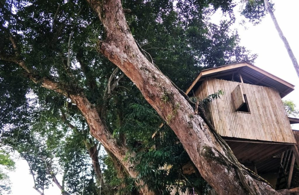 11 Tempat Menarik di Papar (Review-Bayaran Masuk) 2023 Tree House Ponohuan