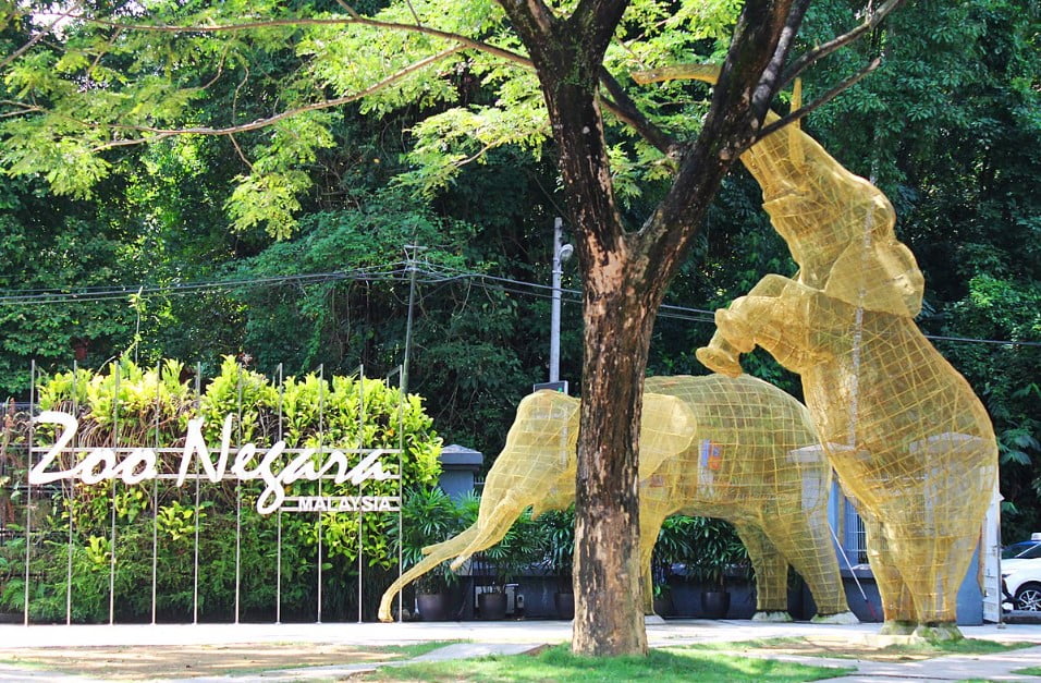 11 Tempat Menarik untuk Lawatan Sambil Belajar di Kuala Lumpur 2023 Zoo Negara Kuala Lumpur