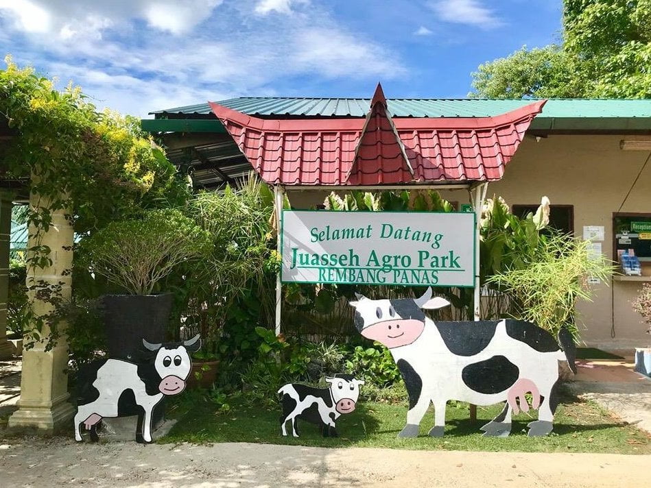 11 Tempat Menarik di Kuala Pilah (Honest Review) 2023 ns dairy farm