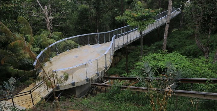 TOP 11 Tempat Hiking di Penang 2023 [Review-Harga Tiket] Langur Way Canopy Walk Penang
