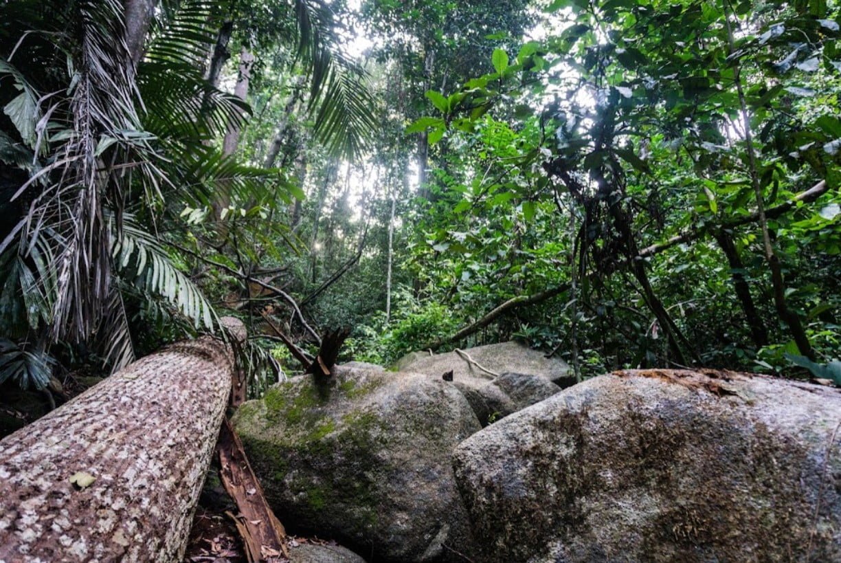 Hutan-Lipur-Bukit-Pelindung 11 Air Terjun di Kuantan Review Terkini 2024 Hutan Lipur Bukit Pelindung